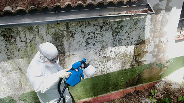Trusted Mold Testing service in Glenmoore, PA - Cheap Mold Removal